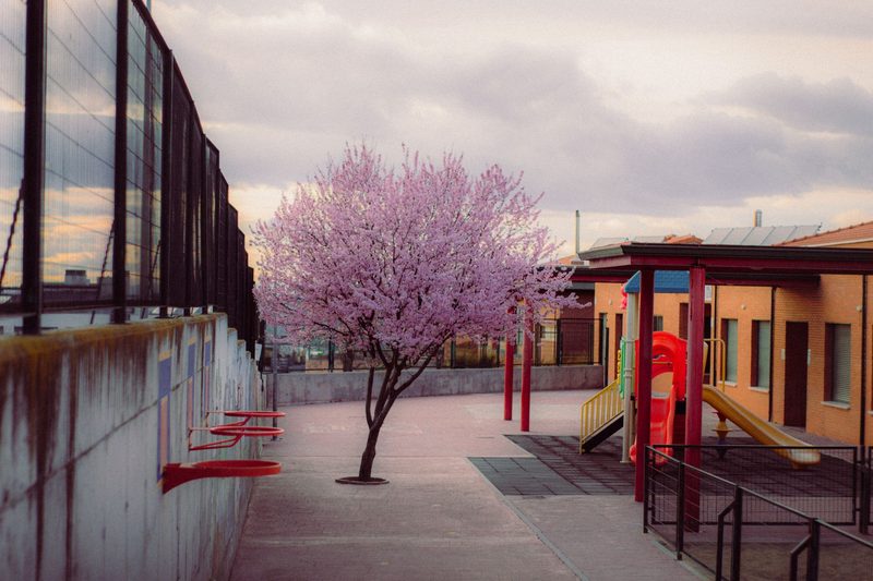 Kinder der Schule